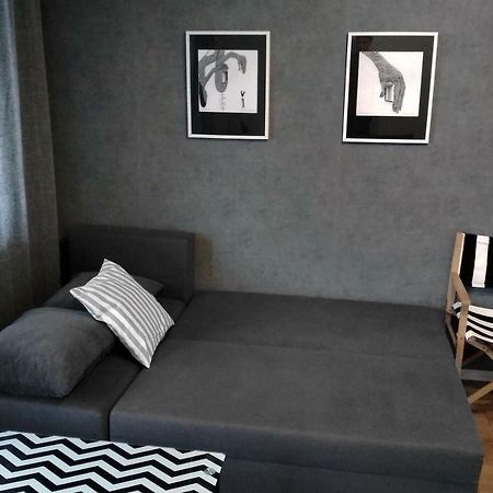 Apartament Art Apartament Bielsko-Biała Zewnętrze zdjęcie